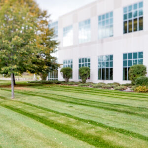 Commercial Property grounds management by Meadowgreen Landscape