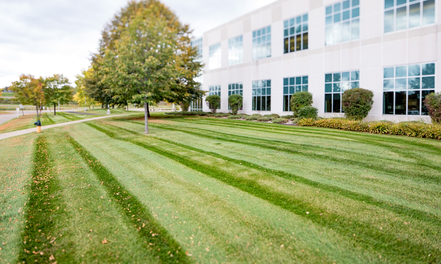Commercial Property grounds management by Meadowgreen Landscape