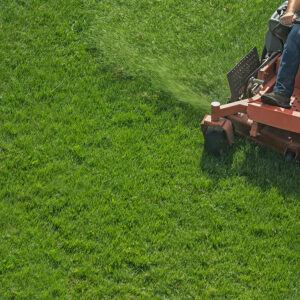 Meadow Green Landscaping Commercial Properties Lawn Maintenance